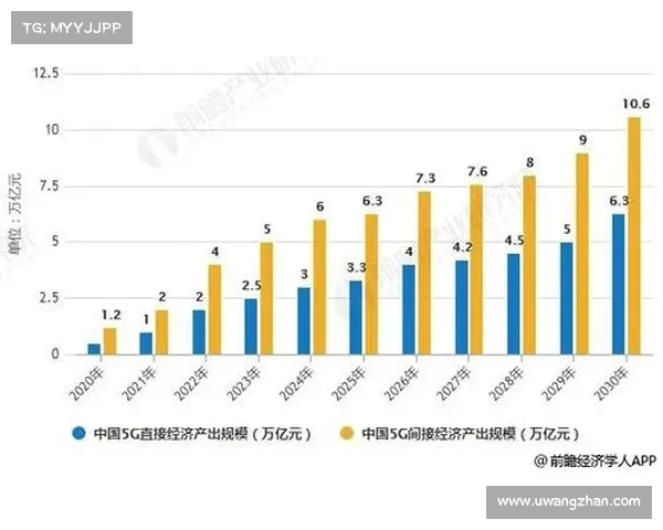 真精布技术创新与应用前景分析探讨